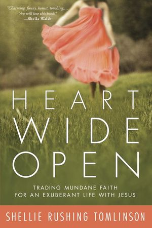 Heart Wide Open: Trading Mundane Faith for an Exuberant Life with Jesus image number 0