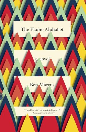 The Flame Alphabet image number 0