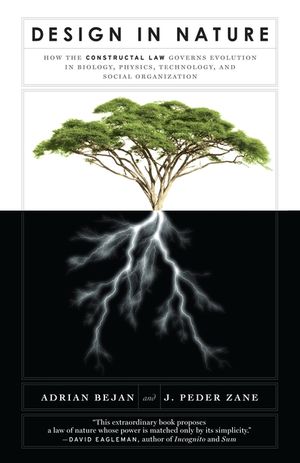 Design in Nature: How the Constructal Law Governs Evolution in Biology, Physics, Technology, and Social Organizations image number 0