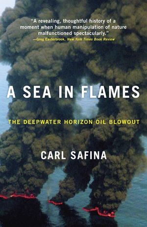A Sea in Flames: The Deepwater Horizon Oil Blowout image number 0