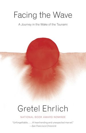 Facing the Wave: A Journey in the Wake of the Tsunami image number 0