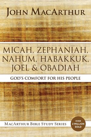 Micah, Zephaniah, Nahum, Habakkuk, Joel, and Obadiah: God's Comfort for His People image number 0