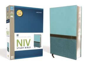 Study Bible-NIV-Large Print image number 0