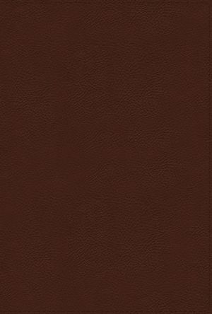 Niv, Thompson Chain-Reference Bible, Large Print, Genuine Leather, Cowhide, Brown, Red Letter, Art Gilded Edges, Comfort Print image number 0