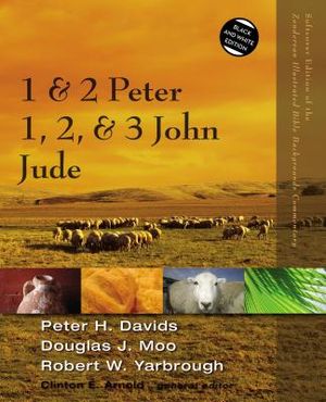 1 and 2 Peter, Jude, 1, 2, and 3 John image number 0