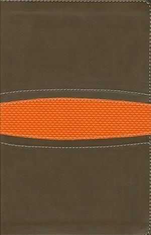 Boys Bible-NIV: The Ultimate Manual image number 0