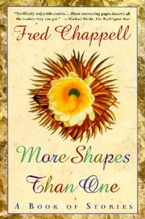 More Shapes Than One: A Book of Stories image number 0