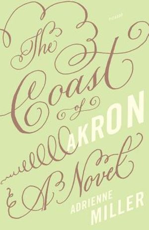 The Coast of Akron image number 0