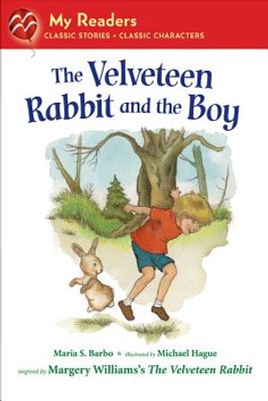 The Velveteen Rabbit and the Boy image number 0