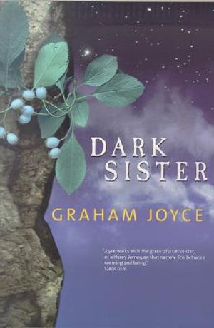 Dark Sister image number 0