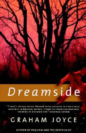 Dreamside image number 0