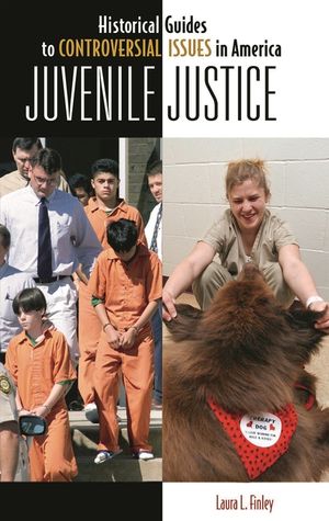 Juvenile Justice image number 0