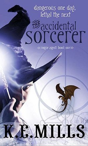 The Accidental Sorcerer image number 0