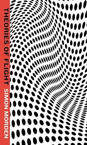 Theories of Flight image number 0