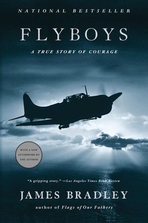 Flyboys: A True Story of Courage image number 0