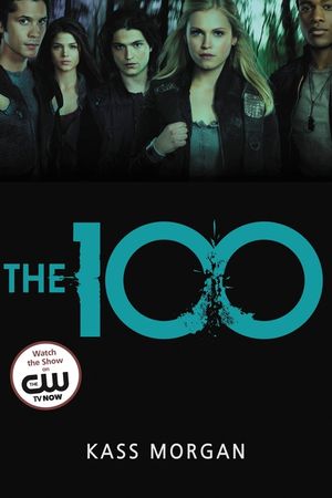 The 100 image number 0