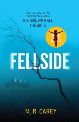 Fellside image number 0
