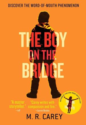The Boy on the Bridge image number 0
