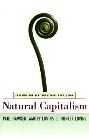 Natural Capitalism: Creating the Next Industrial Revolution image number 0