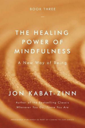 The Healing Power of Mindfulness: A New Way of Being image number 0