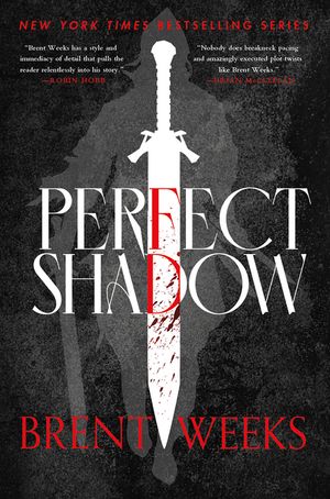 Perfect Shadow image number 0