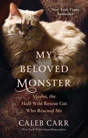 My Beloved Monster: Masha, the Half-Wild Rescue Cat Who Rescued Me image number 0