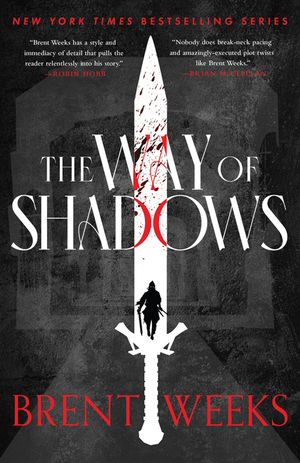 The Way of Shadows image number 0