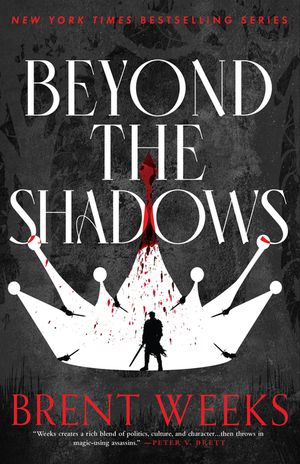 Beyond the Shadows image number 0
