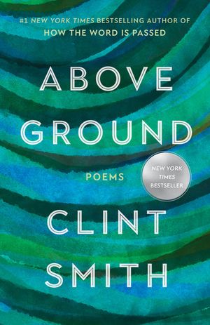 Above Ground image number 0