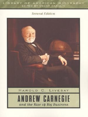 Andrew Carnegie and the Rise of Big Business image number 0