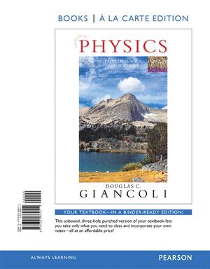 Physics: Principles with Applications image number 0