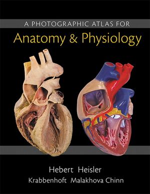 A Photographic Atlas for Anatomy & Physiology image number 0