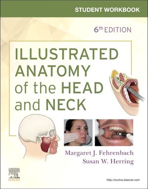 Student Workbook for Illustrated Anatomy of the Head and Neck image number 0