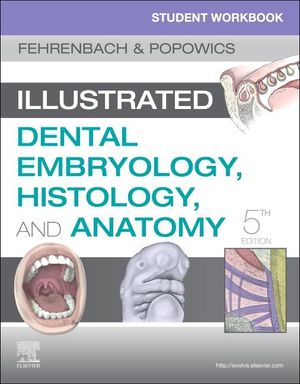 Student Workbook for Illustrated Dental Embryology, Histology and Anatomy image number 0