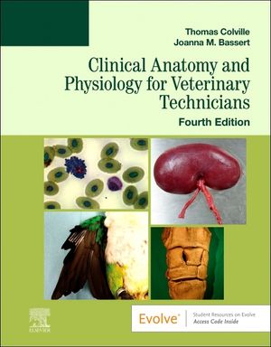 Clinical Anatomy and Physiology for Veterinary Technicians image number 0