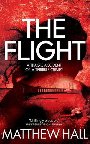 The Flight image number 0