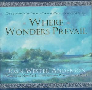 Where Wonders Prevail : True Accounts That Bear Witness to the Existence of Heaven image number 0