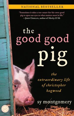 The Good Good Pig: The Extraordinary Life of Christopher Hogwood image number 0