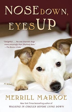 Nose Down, Eyes Up image number 0