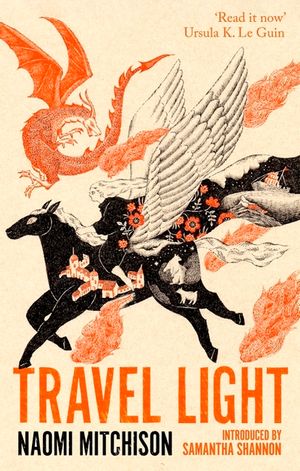 Travel Light image number 0