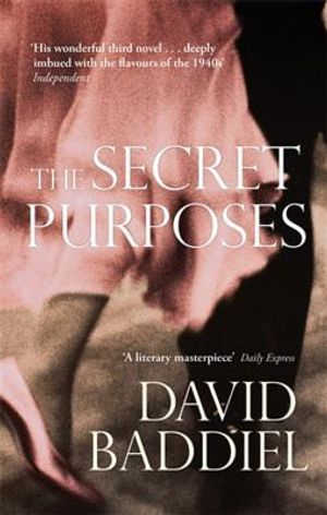 The Secret Purposes. David Baddiel image number 0
