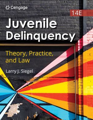 Juvenile Delinquency: Theory, Practice, and Law image number 0