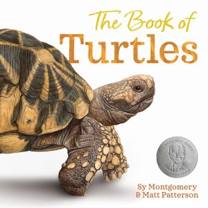 The Book of Turtles image number 0