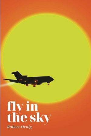 Fly in the sky image number 0