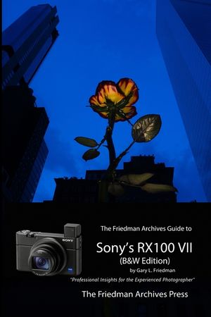 The Friedman Archives Guide to Sony's RX100 VII (B&W Edition) image number 0