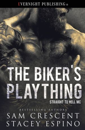 The Biker's Plaything image number 0