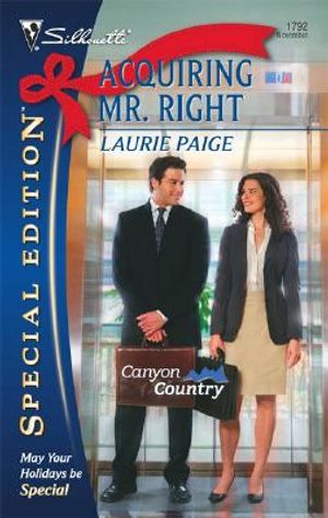 Acquiring Mr. Right image number 0