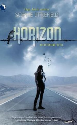 Horizon image number 0