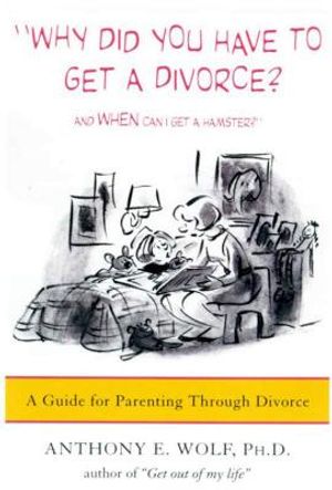 Why Did You Have to Get a Divorce? and When Can I Get a Hamster?: A Guide to Parenting Through Divorce image number 0