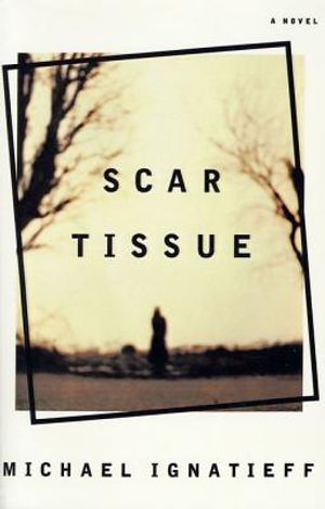 Scar Tissue image number 0